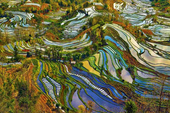 Tierra de mosaicos: Yunnan, China