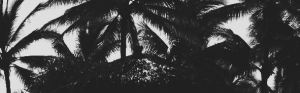 Captura de pantalla 2016-09-10 a las 10.25.10 p.m.