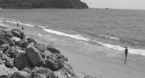 background para wordpress        